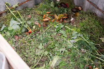 Processing of organic waste, compost preparation