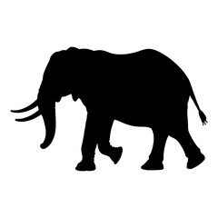 Elephant Illustration | Elephant Silhouette | Elephant Icon