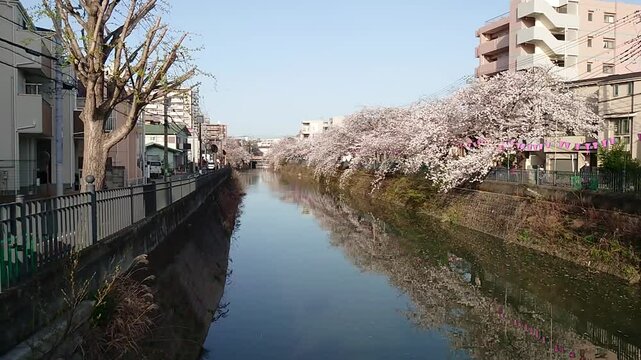 日本寺院風景