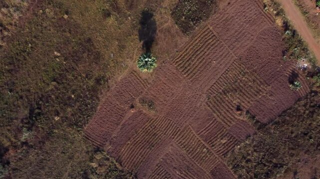 Aerial high angle view of dry farmland in Northern Uganda, Africa.