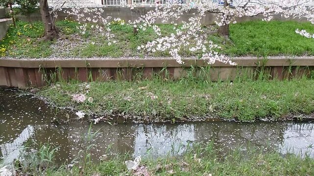 日本寺院風景