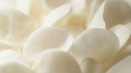 Close-up of white rice grains with a smooth texture