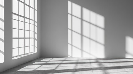 Sunlight streams through large windows in a minimalist empty room