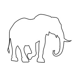 Elephant Outline | Elephant Illustration | Elephant Drawing