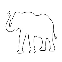 Elephant Outline | Elephant Illustration | Elephant Drawing