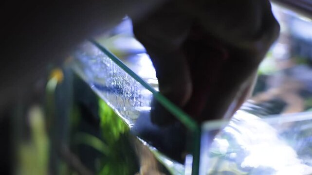Aquarium service. Cleaning the glass in the aquarium.