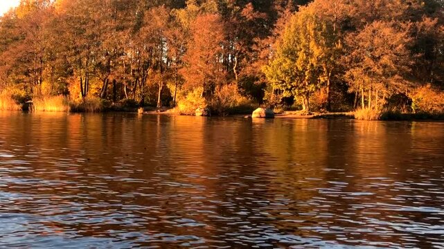 golden hour on the river bank, reflection