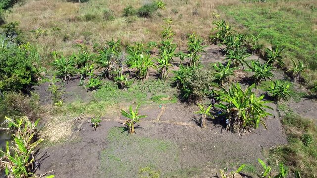 Aerial view of a small subsistence farm in rural Uganda.