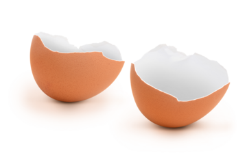 Eierschale 7