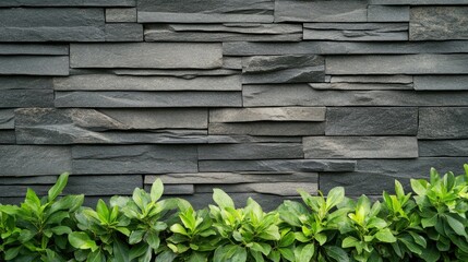 Modern stone wall design complemented by lush green foliage creates a striking visual contrast in a contemporary landscape
