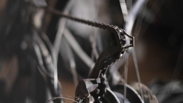 Service and adjustment of the bike. Close-up.
