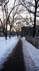 winter road in the park