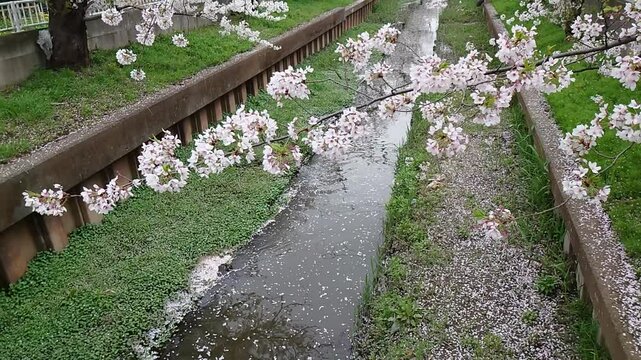 日本寺院風景