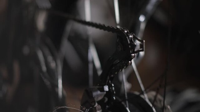 Service and adjustment of the bike. Close-up.