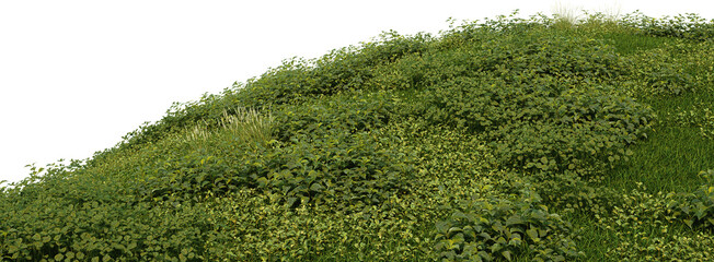 3d render meadow on hill with various shrubs on transparent background.