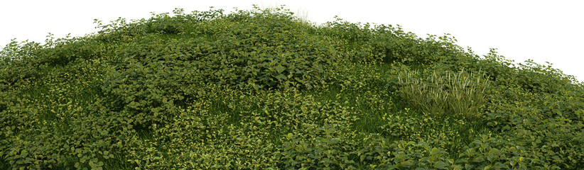 3d render meadow on hill with various shrubs on transparent background.