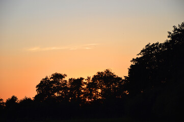Sunset scenery of treetops silhouette with orange evening sky background