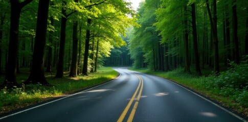 Fototapeta premium Single asphalt lane winding through dense forest, nature, road surface