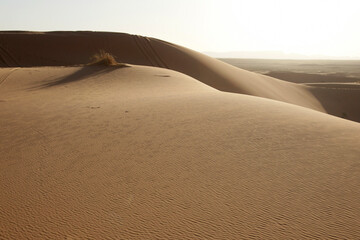 Sahara dunes, near Morocco, North Africa