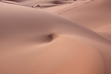 Sahara dunes, near Morocco, North Africa