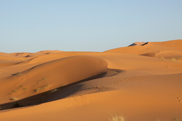 Sahara dunes, near Morocco, North Africa