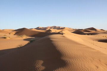 Sahara dunes, near Morocco, North Africa