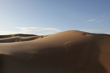 Sahara dunes, near Morocco, North Africa