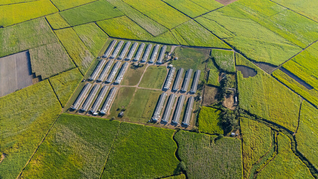 Aerial view of a modern farm with greenhouses for crops in a rural landscape. Mexico