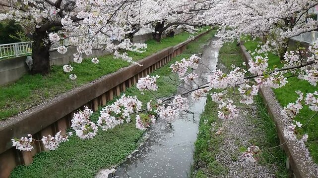 日本寺院風景