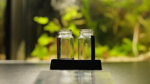 Aquarium water testing. Analysis of aquarium water. capella test