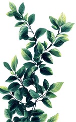 Illustrate sprigs of mint with deep green leaves, isolated on a white background, in a fresh, detailed style