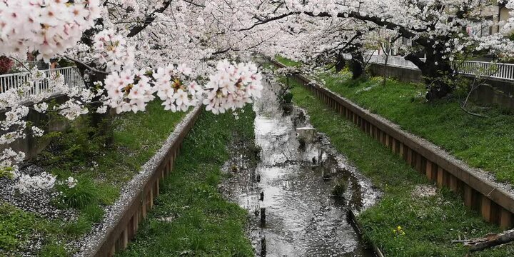 日本寺院風景