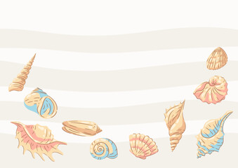 Background with seashells. Tropical underwater mollusk shells illustration.