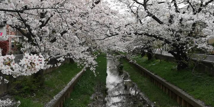 日本寺院風景