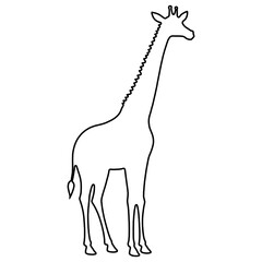 Giraffe Outline | Giraffe Illustration | Giraffe Drawing