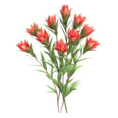 Obraz premium 3D icon of A bouquet of Indian Paintbrush isolated on transparency background