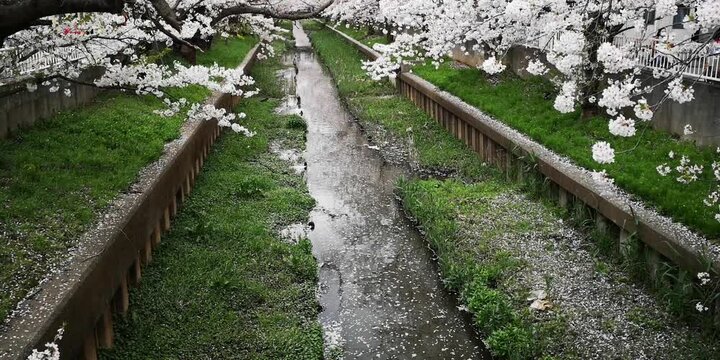 日本寺院風景