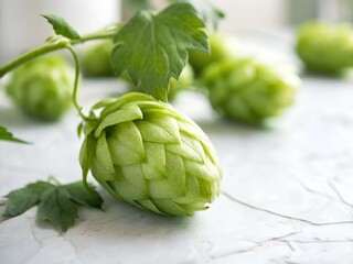 Obraz premium hop on a wooden background