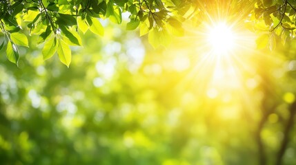 Bright sunlight shining through lush green leaves, creating a vibrant and cheerful summer scene. Bokeh effect adds depth