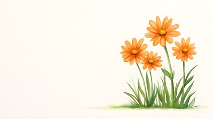 Vibrant Orange Daisies Surrounded by Lush Green Grass on White Background