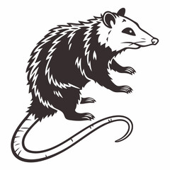 Creative animal icon Opossum vector illustration