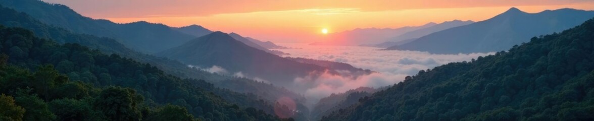 Obraz premium Mists rise from river valley as sunrise breaks through mountains, river valley, forest