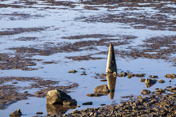 Discarded traffic cone in Dee estuary at low tide