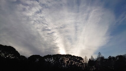 日本の寺院風景