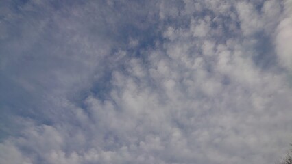 日本の寺院風景