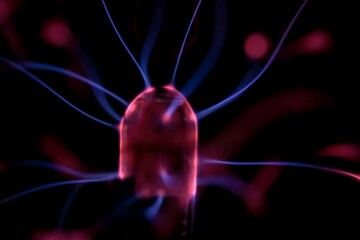 Electrode of a plasma globe