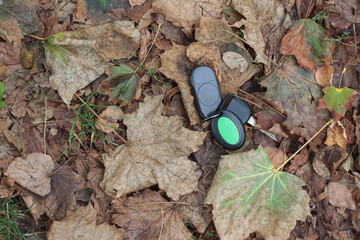 Lost Keys on Autumn Leaves in a Forest Setting