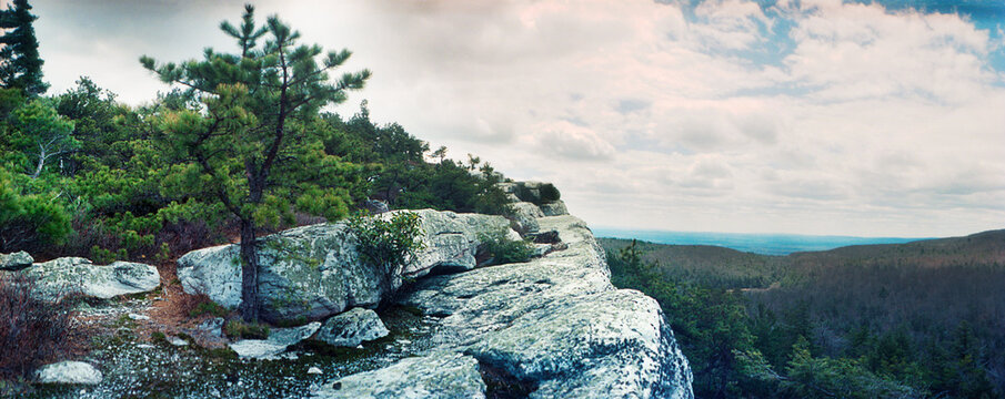 Panoramic view of trees and boulders along the Gertrude's Nose, Minnewaska State Park, Catskill Mountains, New York State, USA.