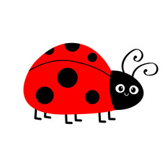 Fototapeta premium Lady bug, lady bird icon. Cute cartoon kawaii funny baby character. Black and red insect. Happy Valentines Day. Card Sticker print. Childish style. Flat design. White background. Isolated. Vector