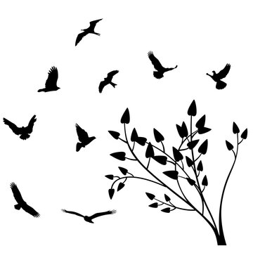 Rama de &aacute;rbol con p&aacute;jaros volando libres
